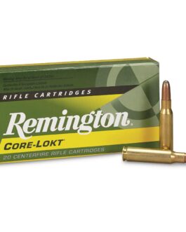 Remington CORE-LOKT, .308 Winchester, SP, 180 Grain